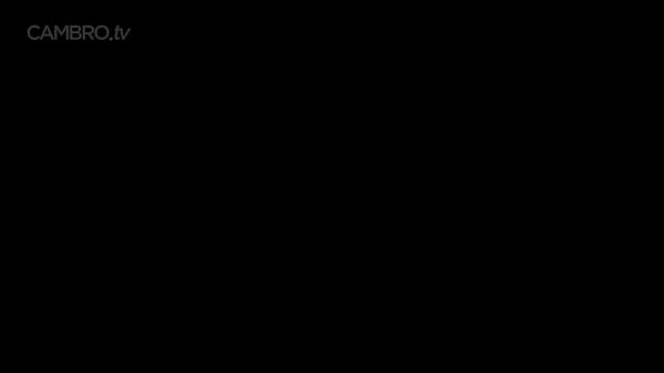 Mature animation